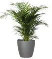 Maceta auto riego de polipropileno san remo gris / plata ø 30 cm