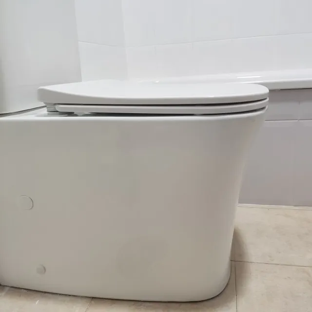 Consulta Bidet  modelo Akron