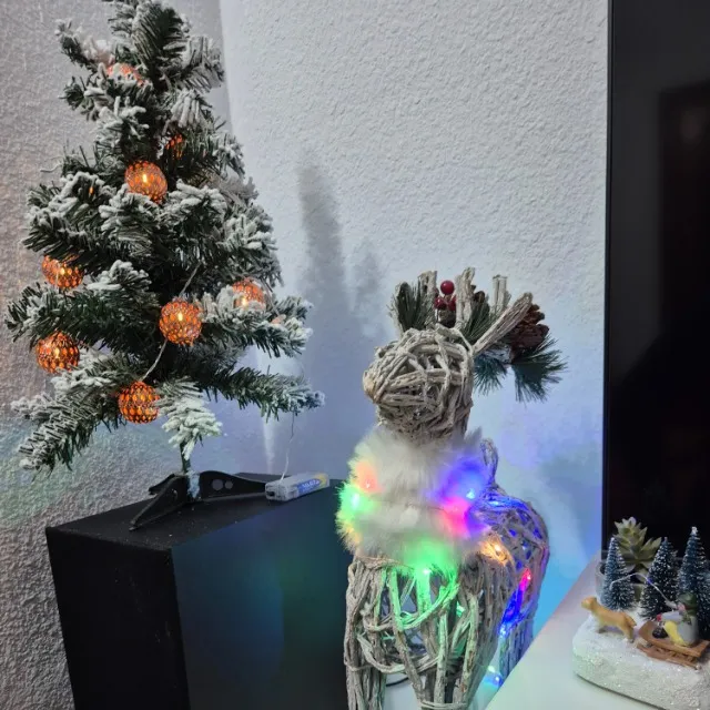 Navidad en casa