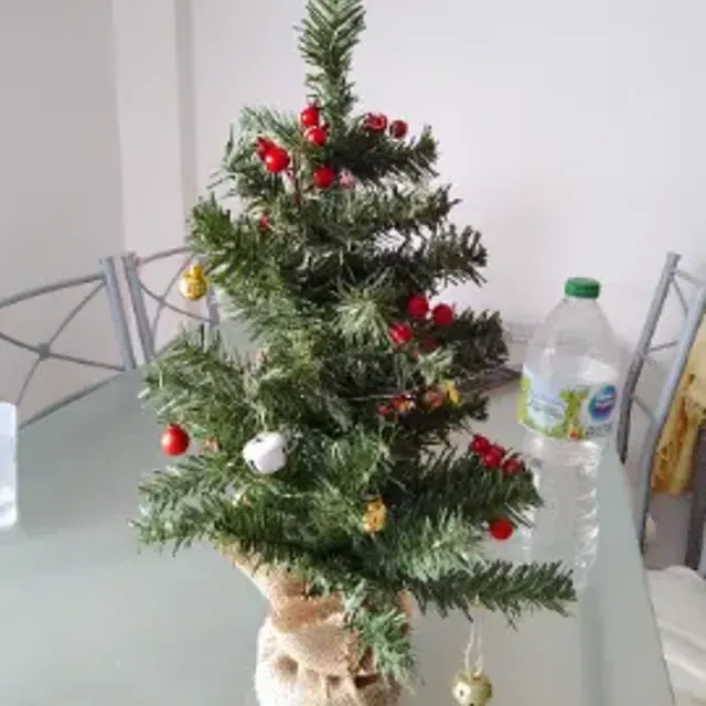 Decorá tu árbol de la navidad