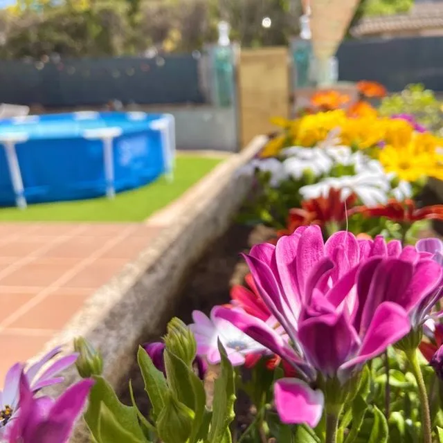 La primavera ha llegado a nuestro jardín