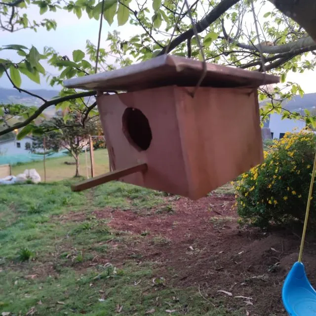 DIY: casa para pájaros con material reutilizado