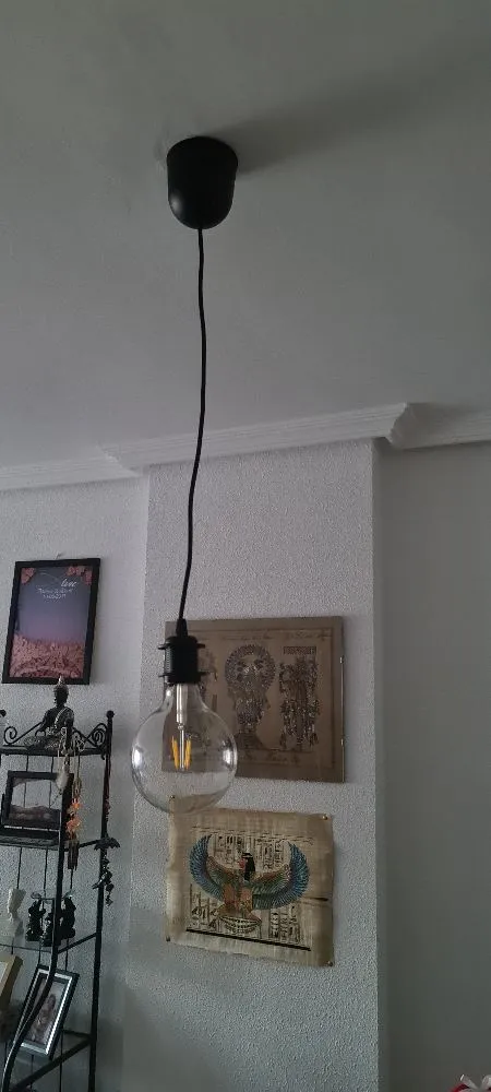 Portalámparas de techo INSPIRE July negro 1 luz E27 9.5 cm - 2