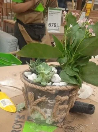 Diseño de un jardín con cactus en macetero transparente