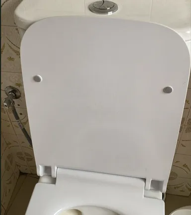 Cambio bisagras tapa wc amortiguada