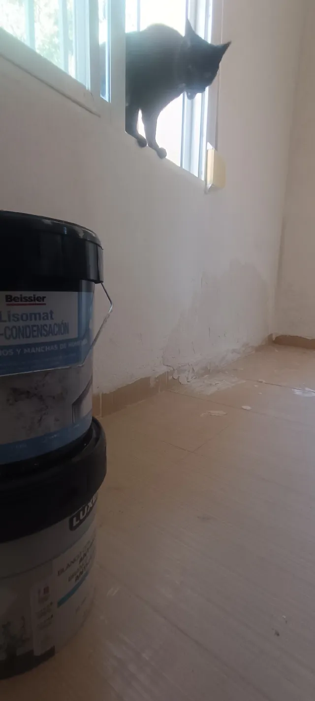 Reparando una  pared con humedades