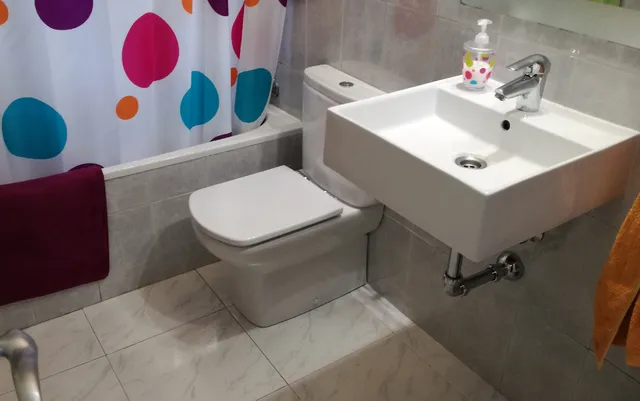 Reforma de baño: cambio del inodoro