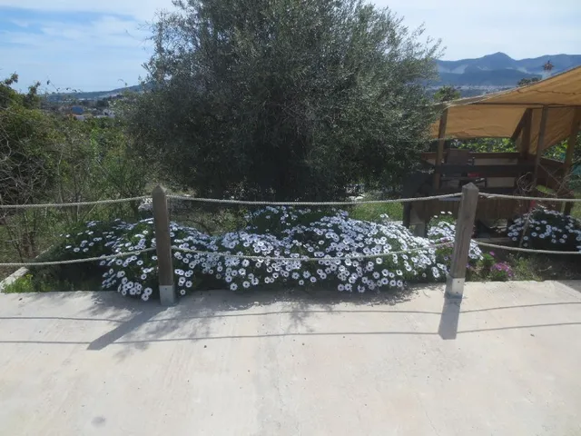 Instalación de una valla de postes de madera y cuerda