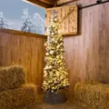 Lote navidad slim nórdica con luz multicolor y árbol de 2,1 m