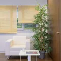 Estor enrollable bambú natural beige de 120x250cm