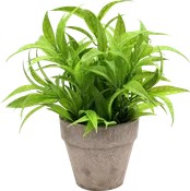 Planta artificial verde oscuro de 26 cm en maceta de 11 cm