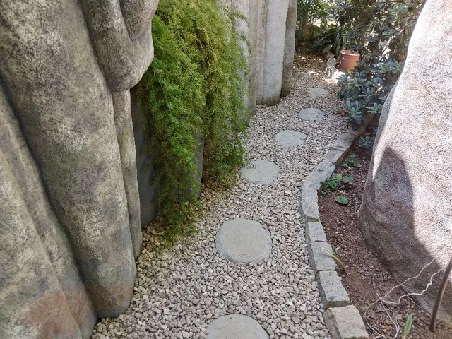 Paso japonés - 2