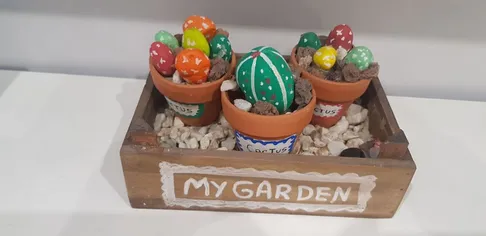 Jardín de cactus con piedras
