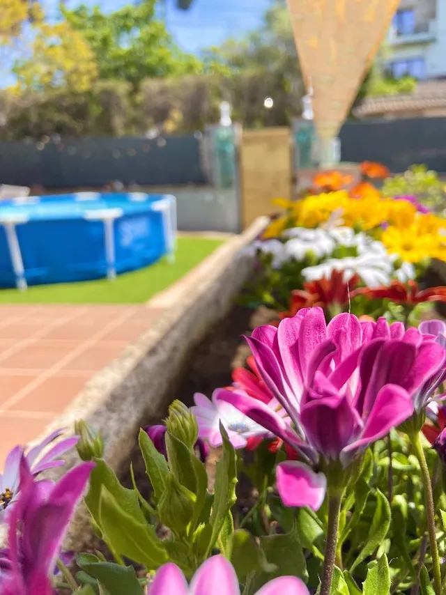 La primavera ha llegado a nuestro jardín