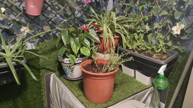 Una terraza pequeña pero muy agradable