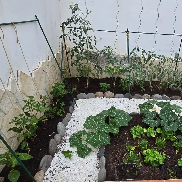 Huerta en espacio pequeño