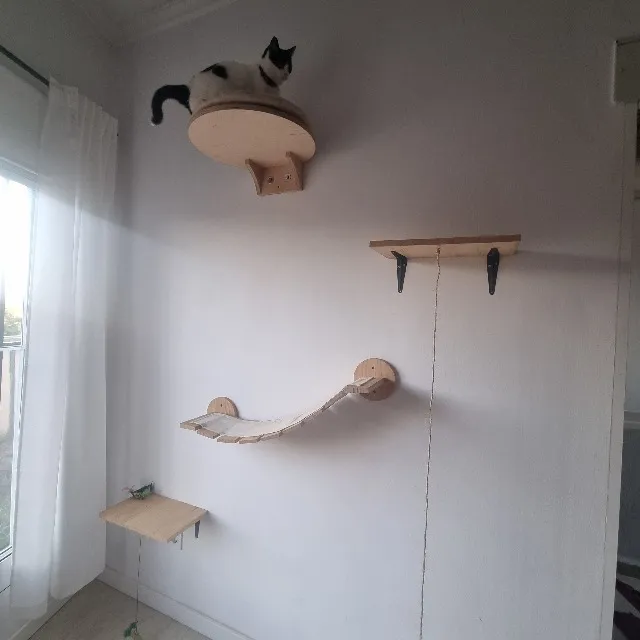 Juego para Gatos