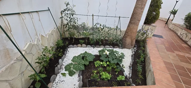 Huerta en espacio pequeño