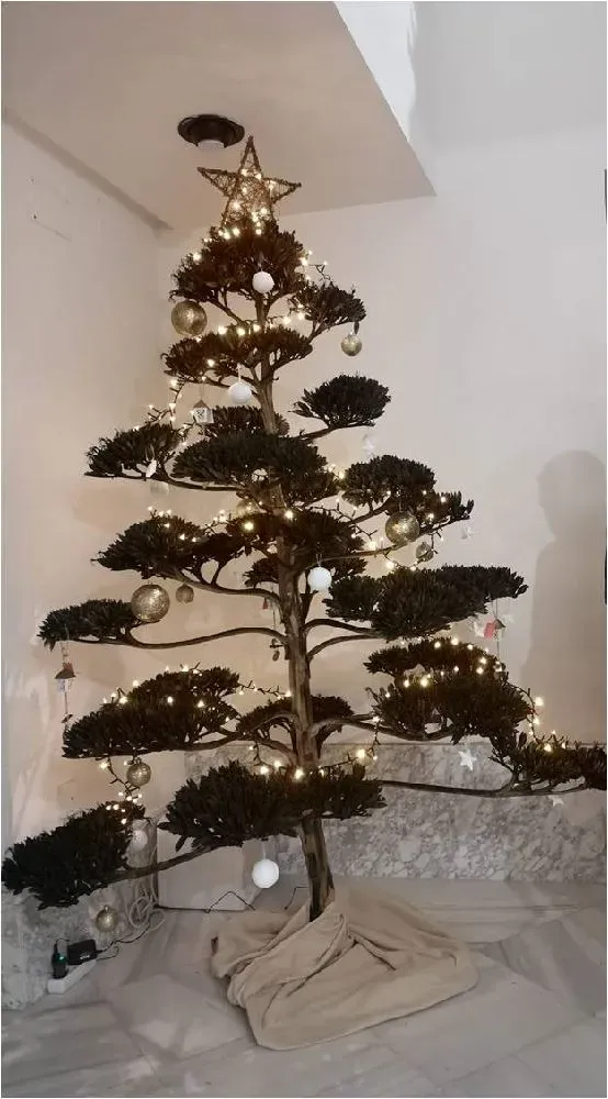 Crear árbol navideño natural