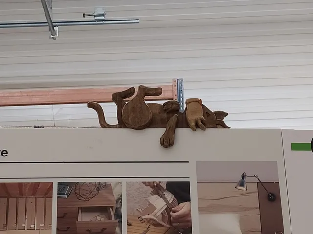 Gato madera: "La hora de la siesta"