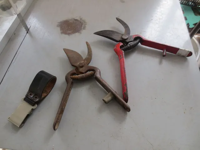 Tijeras de poda cierre de cuero roto, disfrutando con las herramientas