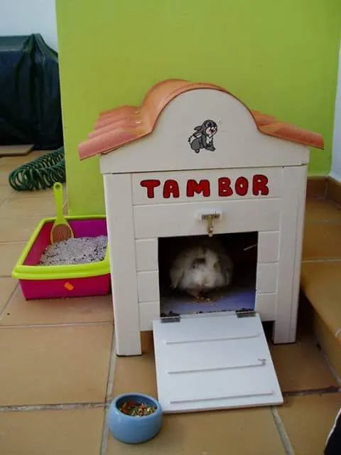 Una casita para el conejo.