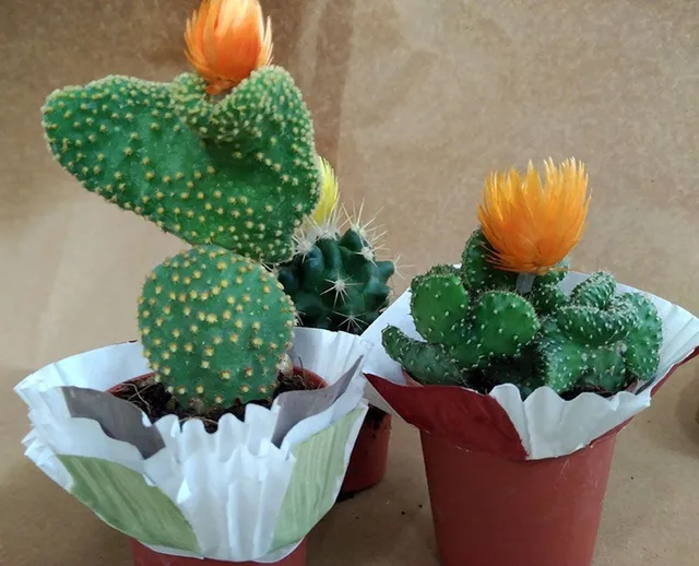 cactus-moldes-magdalenas.jpg