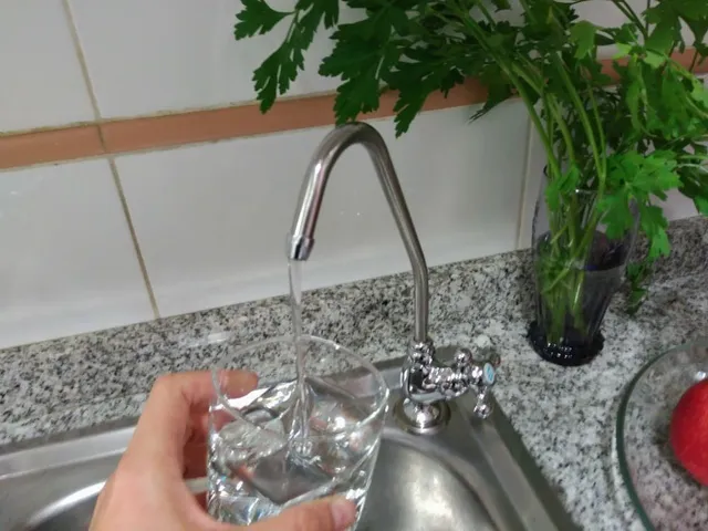 grifo osmosis vaso.jpg