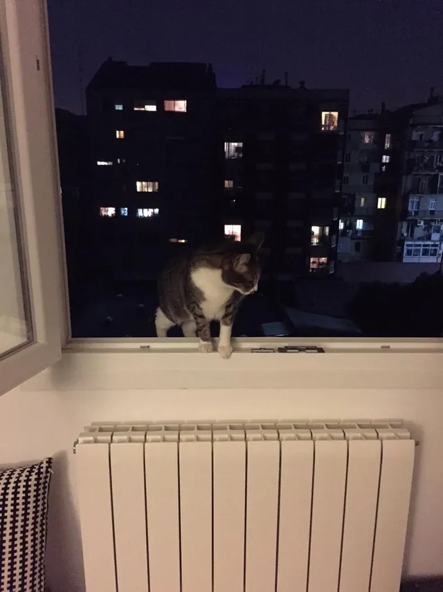 00 gato ventana soporte jardinera leroy merlin comunidad joanant