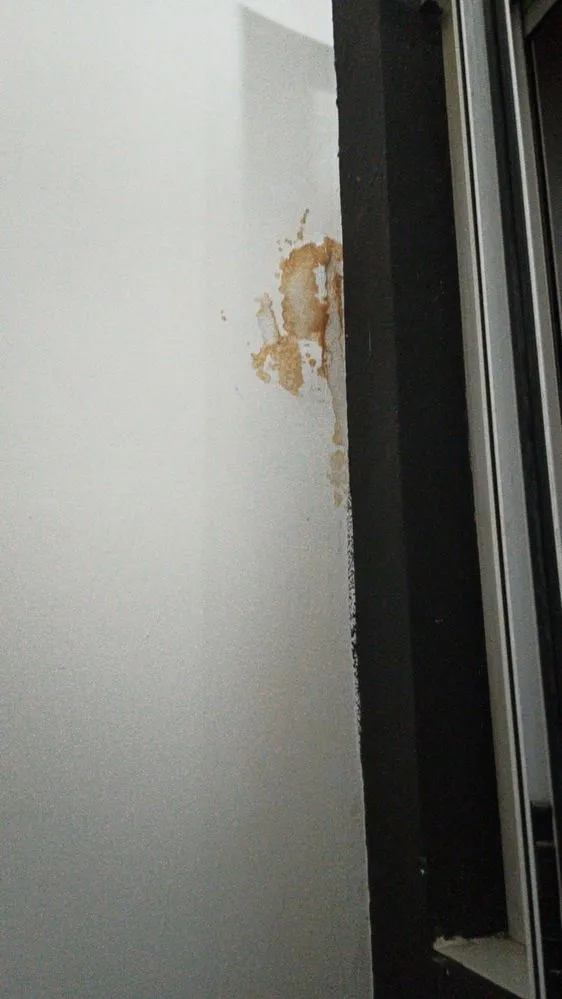 pared del dormitorio donde se filtra la humedad