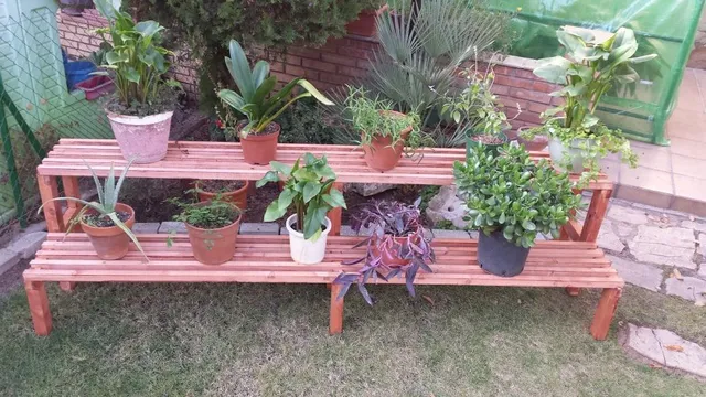 Con las plantas