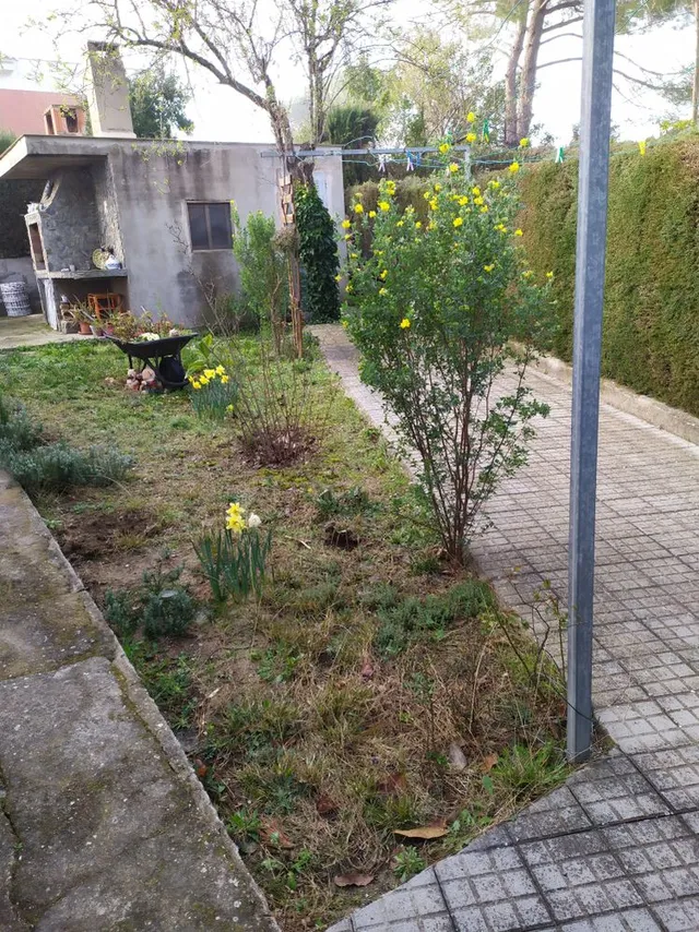 Nuestra pequeña zona del jardin trasero,estaba muy deteriorada y con malas hierbas ,necesitaba un buen cambio