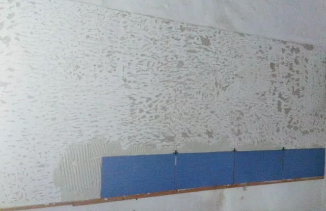 IMG-20170110-WA0008.jpeg IMG-20170110-WA0008.jpeg