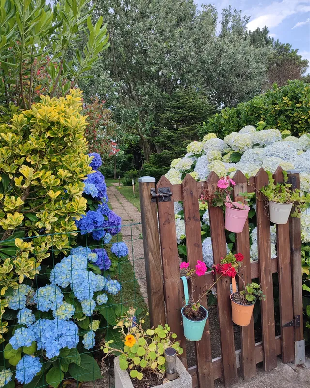 Con madera de palets... puertas para el jardín 🌱🐾🐾🐕🥰