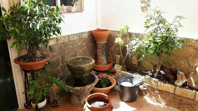 22450550_10155758837477152_1828024713_o.jpg 22450550_10155758837477152_1828024713_o.jpg