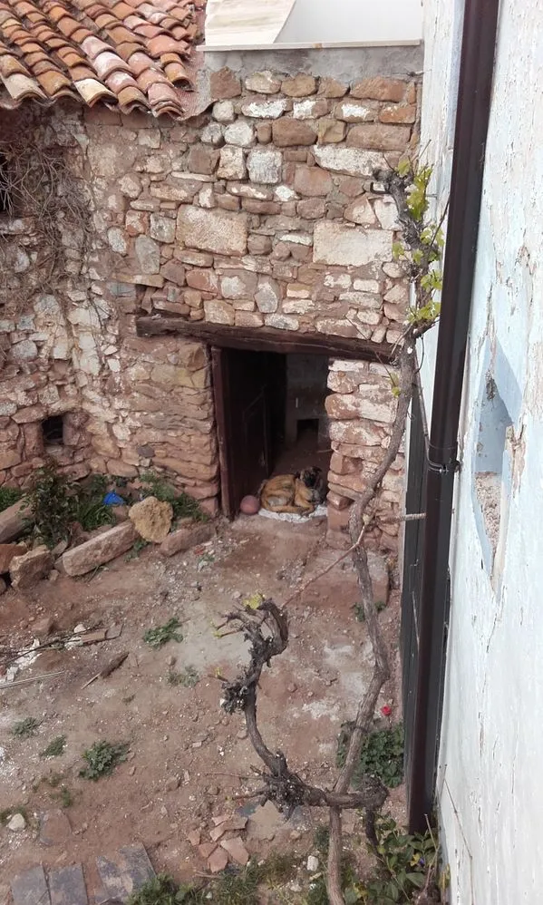 20170430_142451.jpg 20170430_142451.jpg