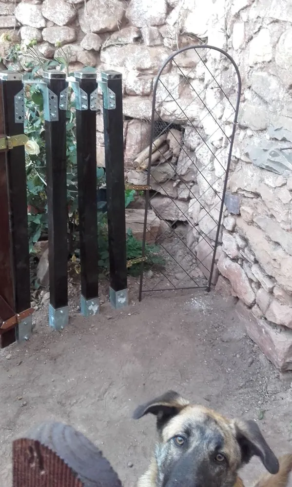 20171102_172854.jpg 20171102_172854.jpg