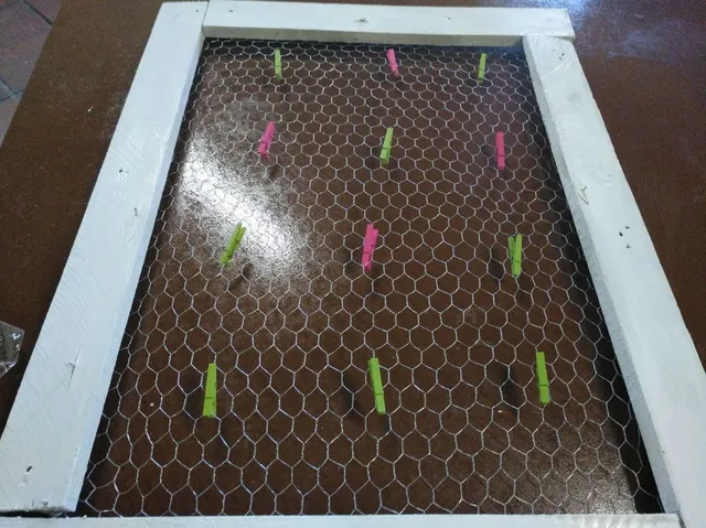 IMG_20180109_172812_085.jpg IMG_20180109_172812_085.jpg