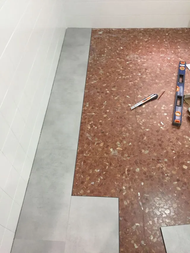 78DF8986-F911-4944-8DBB-7EA9459E2B6C.jpeg 78DF8986-F911-4944-8DBB-7EA9459E2B6C.jpeg