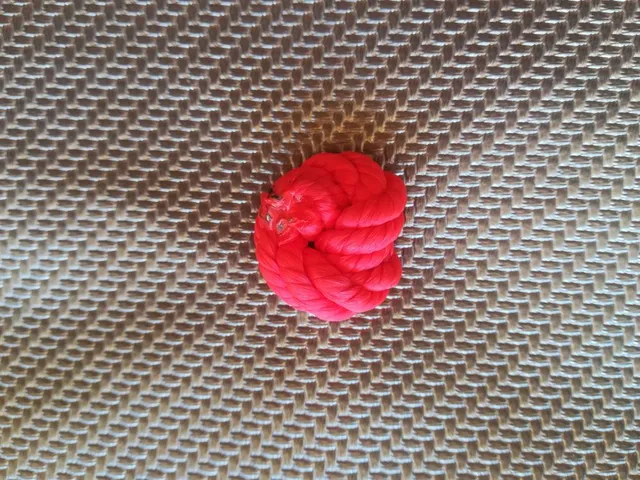 IMG_20190728_152342.jpg IMG_20190728_152342.jpg