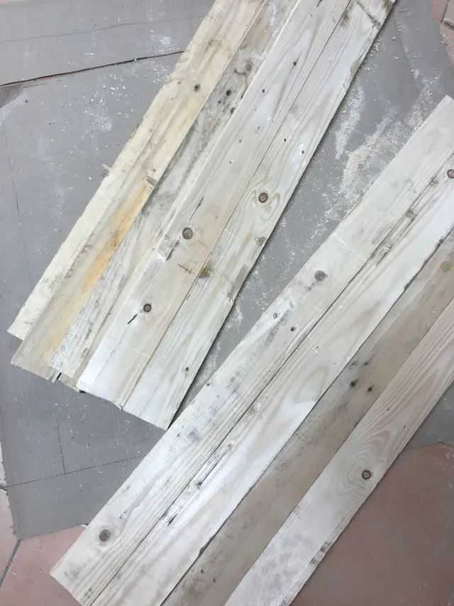 FA141749-EB35-44E7-B0FB-05654B575CE8.jpeg FA141749-EB35-44E7-B0FB-05654B575CE8.jpeg