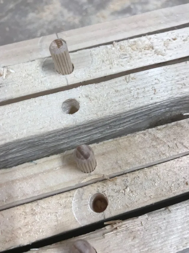 2CD2458B-1872-4162-897C-770874AF65DE.jpeg 2CD2458B-1872-4162-897C-770874AF65DE.jpeg