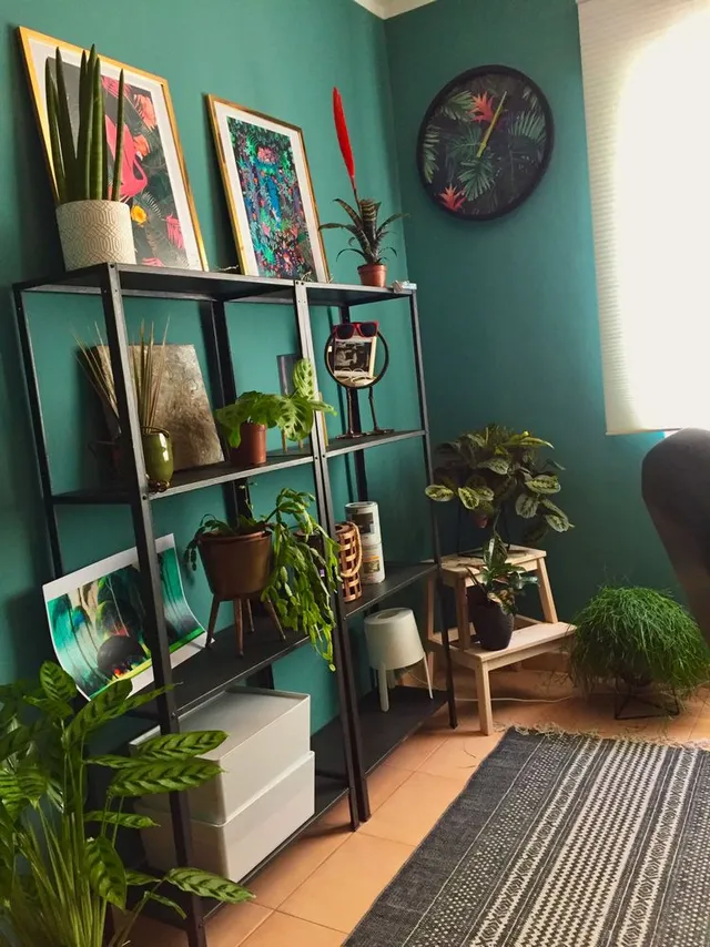 IMG_4077.jpg IMG_4077.jpg