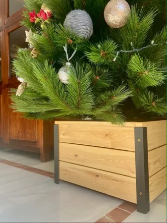 Imagen 1.png Imagen 1.png