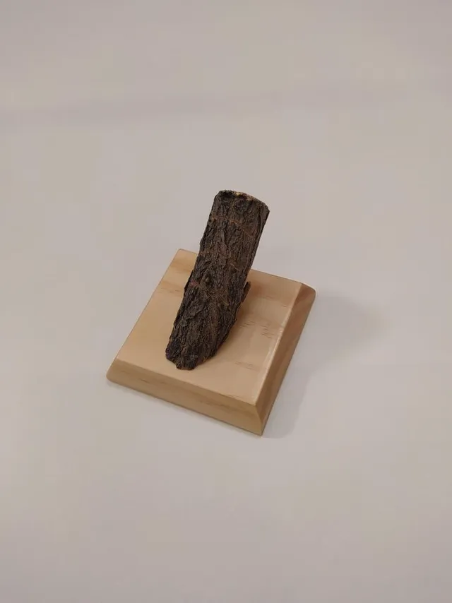 IMG_20210207_141658.jpg IMG_20210207_141658.jpg