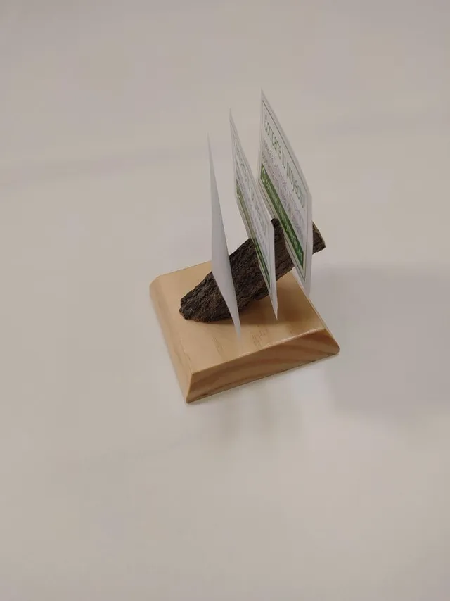 IMG_20210207_141649.jpg IMG_20210207_141649.jpg