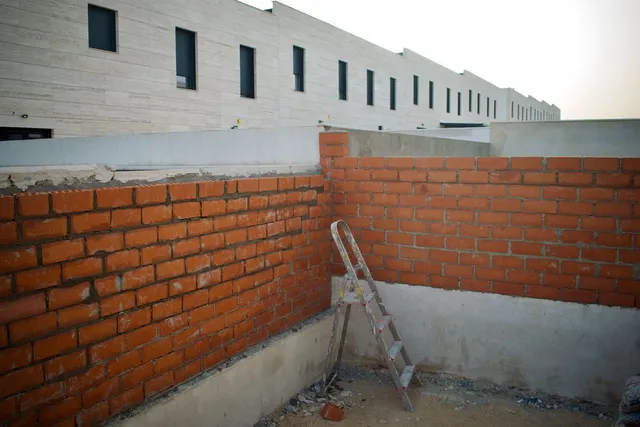 DSC_0065.jpeg DSC_0065.jpeg