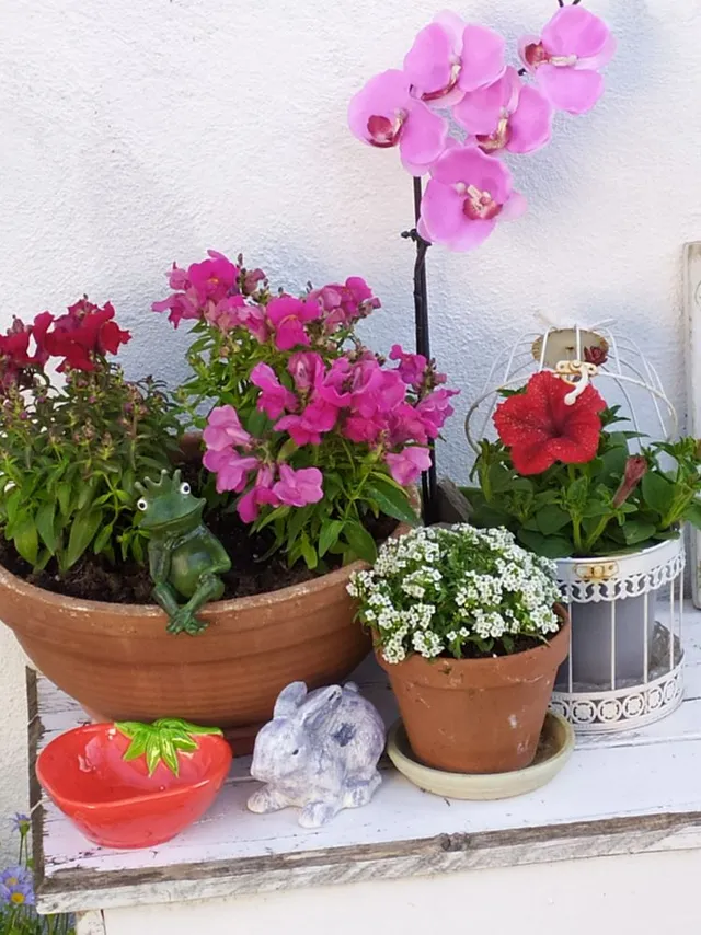 IMG_20210316_161718_1.jpg IMG_20210316_161718_1.jpg