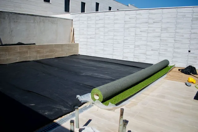 DSC_0113.jpeg DSC_0113.jpeg