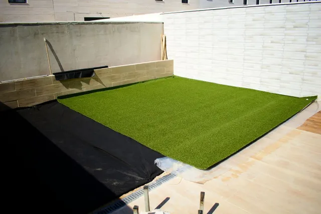 DSC_0115-01.jpeg DSC_0115-01.jpeg